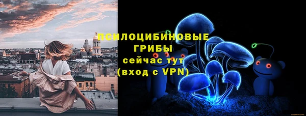 ПСИЛОЦИБИНОВЫЕ ГРИБЫ Зерноград