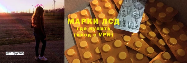 СК Зеленодольск