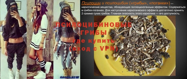 ПСИЛОЦИБИНОВЫЕ ГРИБЫ Зерноград
