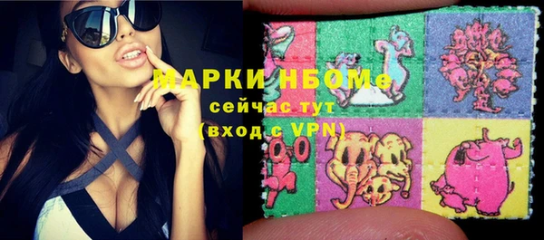 СК Зеленодольск