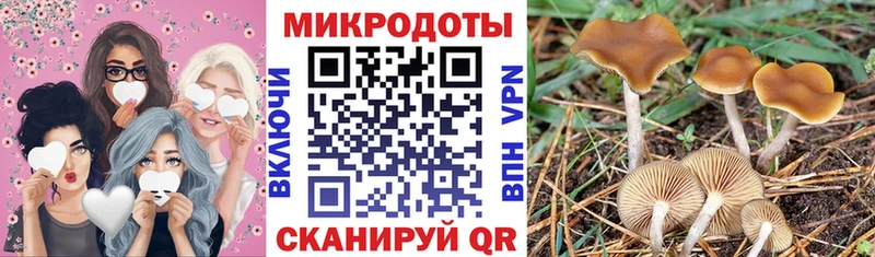 Псилоцибиновые грибы Psilocybe  Кызыл 